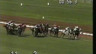 1992 Newmarket Handicap  Schillaci [upl. by Niwled397]