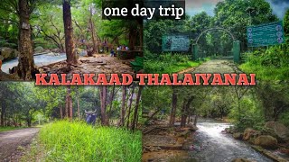 kalakaad Thalaiyanai  kalakaad mundanthurai tiger reserve  jungle trip [upl. by Ydrah]