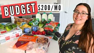 Budget Grocery Haul Gluten amp Lactose Free [upl. by Etteyniv]