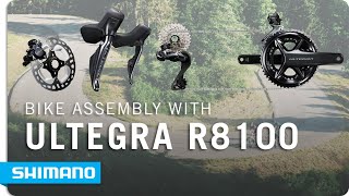 BIKE ASSEMBLY FEAT ULTEGRA R8100 GROUPSET  SHIMANO [upl. by Enrev]