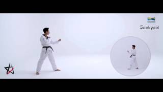 New Kukkiwon Taekwondo Competition Poomsae 3 Saebyeol 국기원 품새 새별 age 1830 [upl. by Melli209]