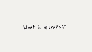 What is microRNA miRNA [upl. by Roberta124]