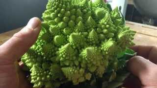 Trimming and preparing Romanesco [upl. by Annodal]