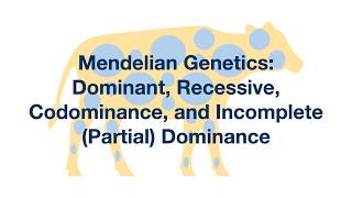 Mendelian Genetics Dominant Recessive Codominance and Incomplete Dominance Explained [upl. by Ydna]