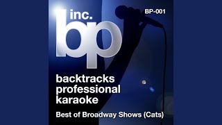 Journey to the Heaviside Layer  Addressing of the Cats Karaoke Instrumental Track In the [upl. by Enamrahc]