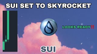 SUI CRYPTO SET TO SKYROCKET UPDATE IN 2024‼️ SUI COIN LOOKS READY TO MINING AGAIN‼️ GOOD CONTROLLING [upl. by Hammad95]