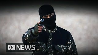 What is Terrorism  ABC News [upl. by Skerl]