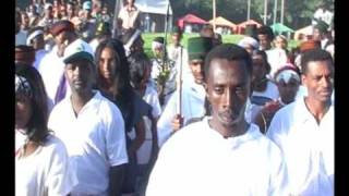 Hot New Oromo Song [upl. by Annagroeg]