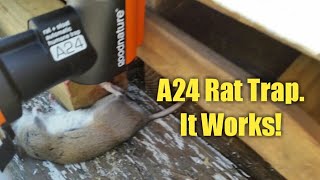 A24 Rat Trap from GoodNature Review [upl. by Woodford]