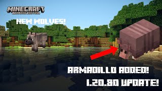 Everything New In Minecraft 12080 Update [upl. by Leummas]