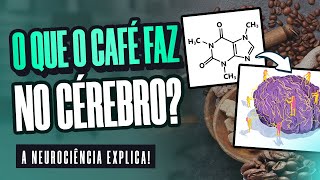 Por que o CAFÉ te deixa ACORDADO Entenda o que a CAFEÍNA faz no seu CÉREBRO [upl. by Kimberlyn]