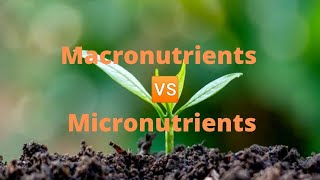 Difference between Macronutrients and Micronutrients  Definition of macro and micro nutrients [upl. by Eardna]