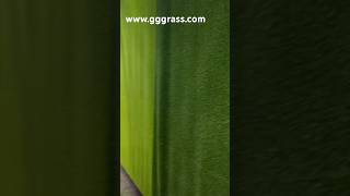 Highperformance durable and safe for all sportsartificiallawn syntheticgrass syntheticturf [upl. by Rogers]