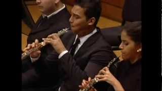 Johann Baptist VanhalConcierto para 2 Fagotes y Orquesta I Allegro [upl. by Rainer]