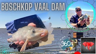 BOSCHKOP VAAL DAM Just floaties S4Ep1 [upl. by Enimisaj]