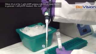 Alkaline Phosphatase ALP Activity Assay Kit Video  Biovision Inc [upl. by Ellinnet]