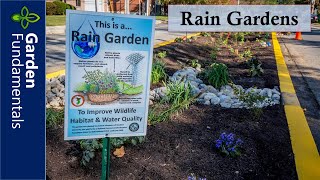 Rain Garden Introduction ☔️🌊❄️ What are they and Why do you need one [upl. by Lede]