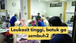 anak batuk leukosit tinggi [upl. by Airrej]