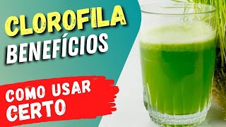 ANTIINFLAMATÓRIA e ANTIOXIDANTE Benefícios da CLOROFILA e Dicas Importantes [upl. by Lika]