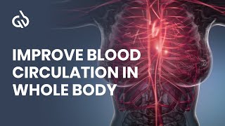 Blood Circulation Frequency Rife Frequency for Better Blood Flow [upl. by Samy]