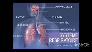 🦋le système respiratoire🦋 [upl. by Egiap]