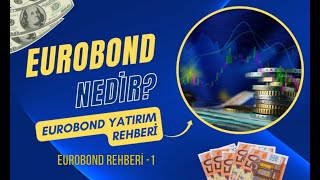 Eurobond nedir Eurobond faizi nasıl hesaplanır  kirli ve temiz fiyat nedir [upl. by Urbai]