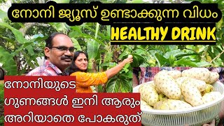 നോനി ജ്യൂസ് ഉണ്ടാക്കുന്ന വിധംNoni Juice സർവ്വരോഗ സംഹാരിയായ ഒരു ഔഷധമാണ് നോനിNoni NoniJuice [upl. by Bowerman84]