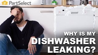 Why Is My Dishwasher Leaking  PartSelectcom [upl. by Lyda579]