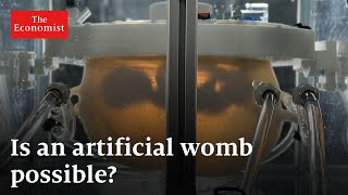 Are artificial wombs the future [upl. by Calvo]