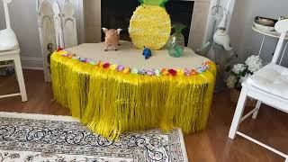 Hawaiian party decors for an informal family gettogether [upl. by Slerahc]