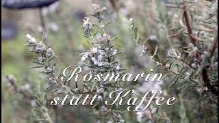 Rosmarin statt Kaffee  Viriditas HeilpflanzenVideo [upl. by Pascale105]