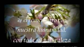 Enigma Return To Innocence Lyrics subtitulado  Retorno a la Inocencia [upl. by Niveb]