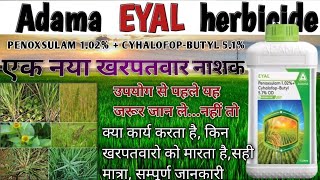 Adama Eyal herbicide  Eyal kharpatwar nasak  penoxsulam  Cyhalofopbutyl  नया खरपतवार नाशक [upl. by Jeanne982]