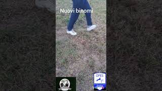 Nuovi binomi Di Bacco Luigi [upl. by Olli]