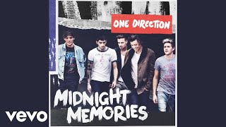 One Direction  Through the Dark Audio [upl. by Orazal]