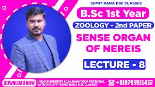 Lt08 Sense Organ Of Nereis Unit  1  Zoology 2nd Paper  BSc 1st Year [upl. by Eudocia]