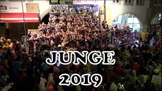 JUNGE  Ringmurechutze  Fastnacht Murten 2019 [upl. by Jahn]