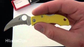 Spyderco Ladybug 3 Hawkbill Salt H1 Steel [upl. by Corbin]