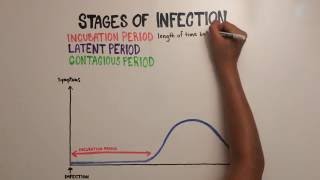 Mononucleosis Video 2 Mononucleosis II [upl. by Olin]