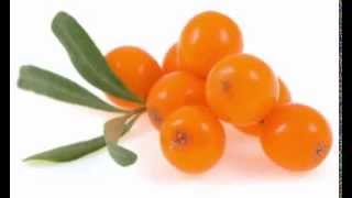 Sea Buckthorn Berry Health Benefits [upl. by Collimore]