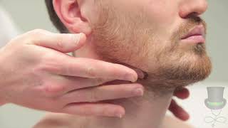 Lymphatic Drainage of the Head and Neck Dr Adel Bondok [upl. by Everest264]