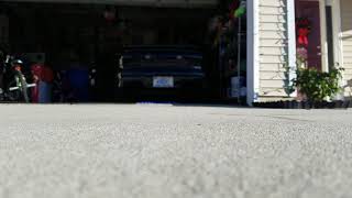 2000 Trans Am ls1 tick polluter cam bolt ons cold start [upl. by Inavoy]