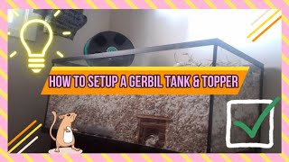 Gerbil Care  How To Set Up A Gerbil Tank Cage amp Topper [upl. by Redman639]