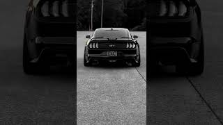 MUSTANG GT 🥵💀 subscribe foryou viralshort luxurycarshorts trending startup [upl. by Seroled]