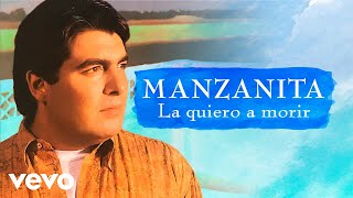 Manzanita  La Quiero A Morir Cover Audio [upl. by Nagaem]