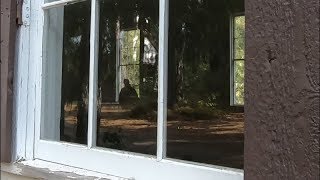 Strange figure in building scared us to death at Malakoff Diggins ghost town [upl. by Anirhtak]