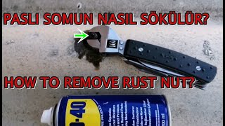 Paslı Somun Nasıl SökülürWD40How To Remove Rusty Nut [upl. by Amoeji]