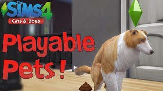 The Sims 4 Cats amp Dogs Playable Pets Mod Showcase [upl. by Ttenyl933]