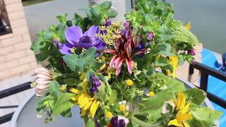 Cerinthe Major HoneywortShrimp Plant Growing Guide From Seed To Harvest amp Vase Life Tips  Ep 101 [upl. by Riedel]