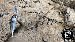 Mackerel Fishing Cornwall  Mackerel Madness  Sea Fishing On The Rocks [upl. by Maribelle]